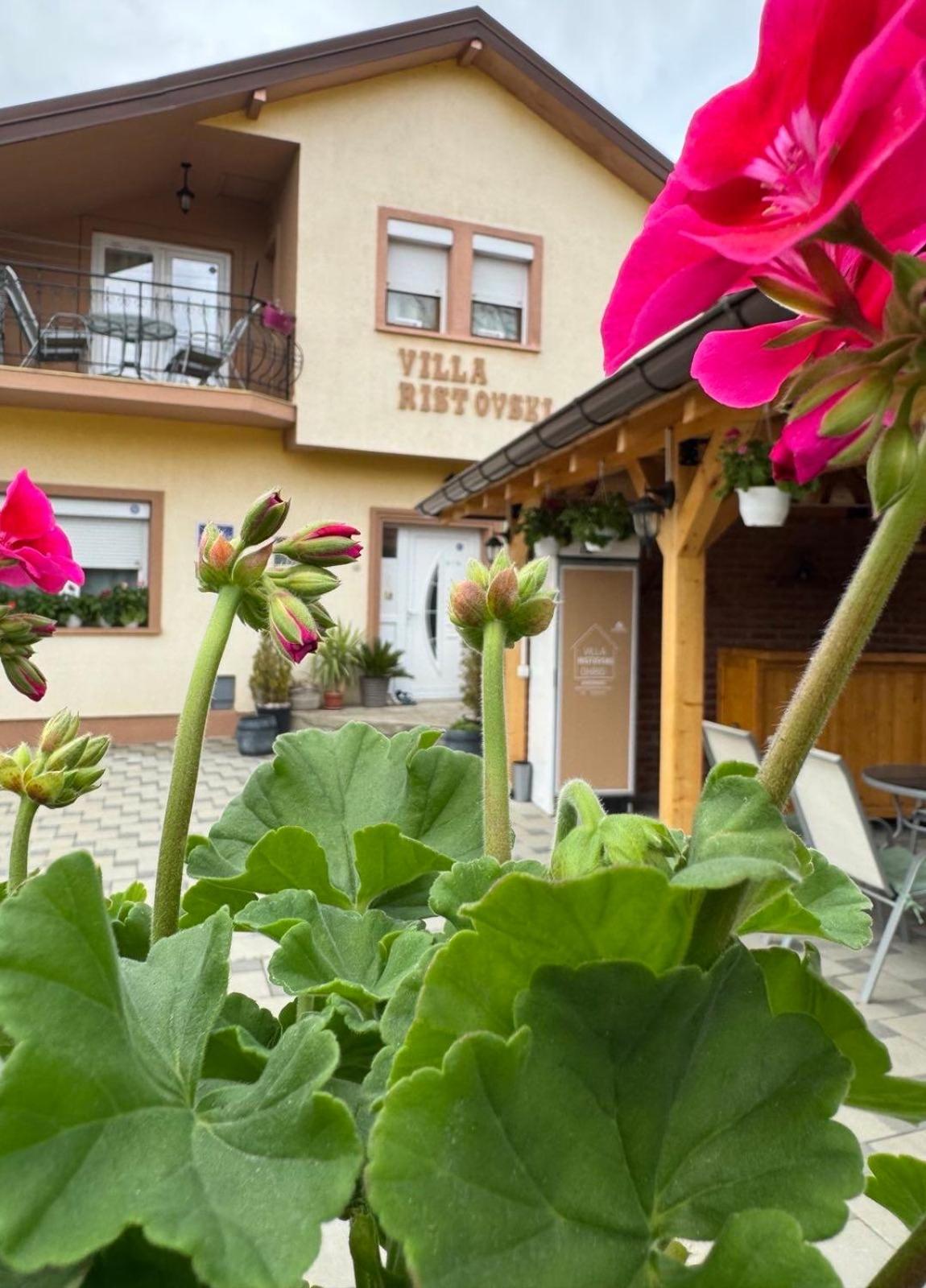 Villa Ristovski Ohrid Esterno foto